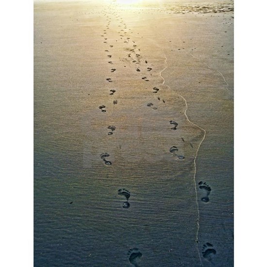 Detail Footprints In The Sand Shower Curtain Nomer 12