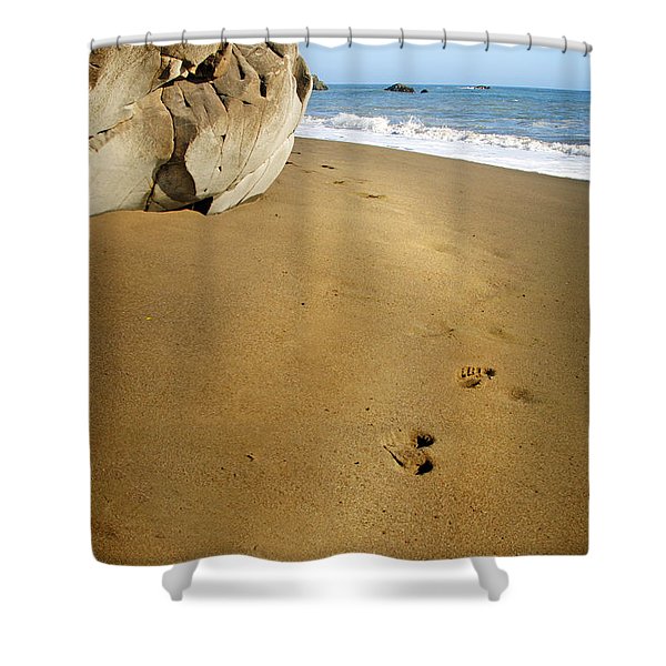 Detail Footprints In The Sand Shower Curtain Nomer 3