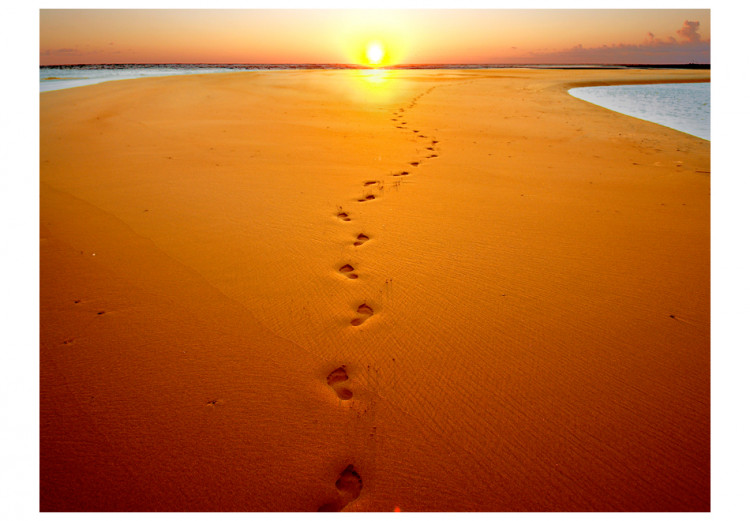 Detail Footprints In The Sand Wallpaper Nomer 16