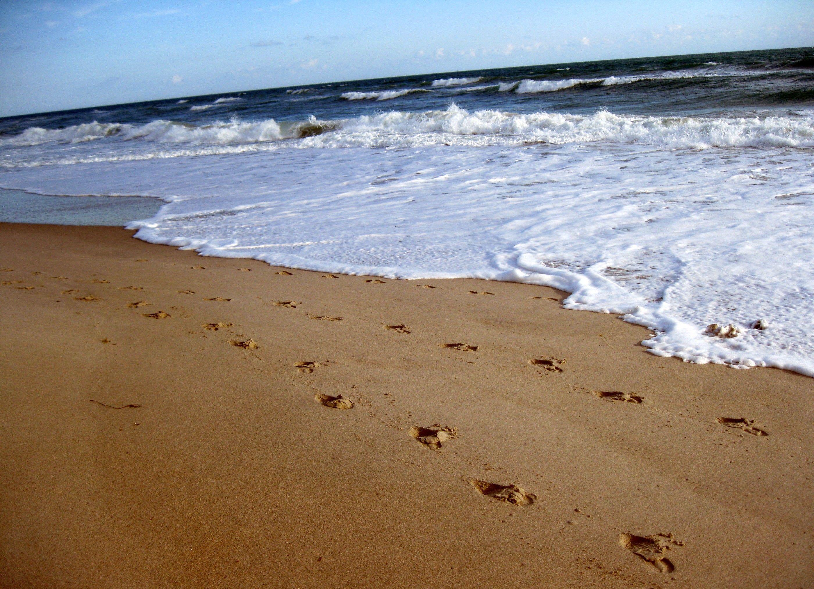 Detail Footprints In The Sand Wallpaper Nomer 36