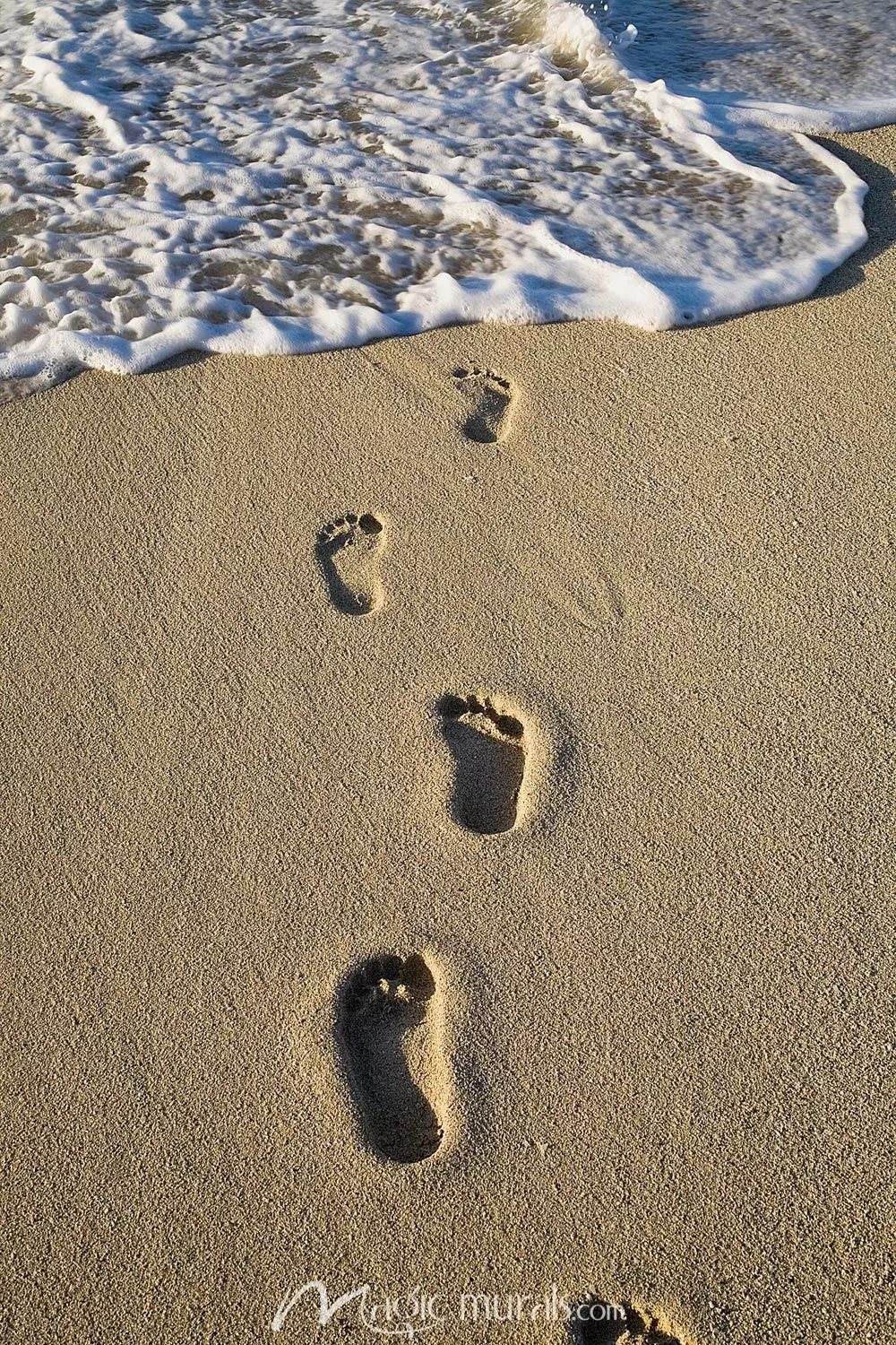 Detail Footprints In The Sand Wallpaper Nomer 6
