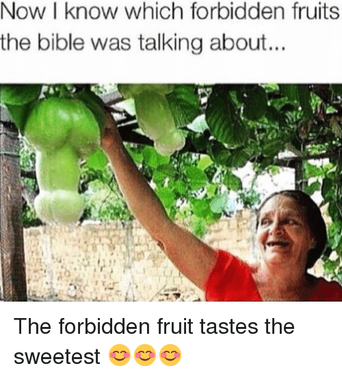 Detail Forbidden Fruit Meme Nomer 27
