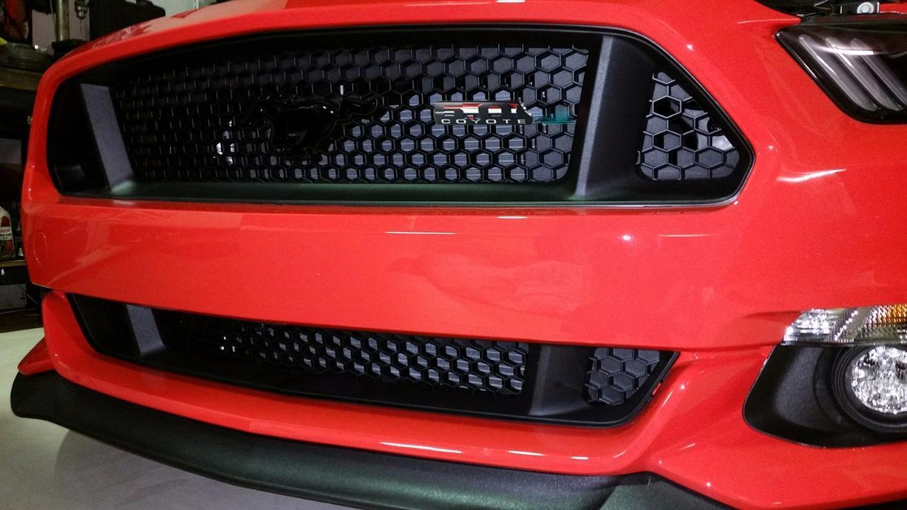 Detail Ford Mustang Coyote Badge Nomer 27
