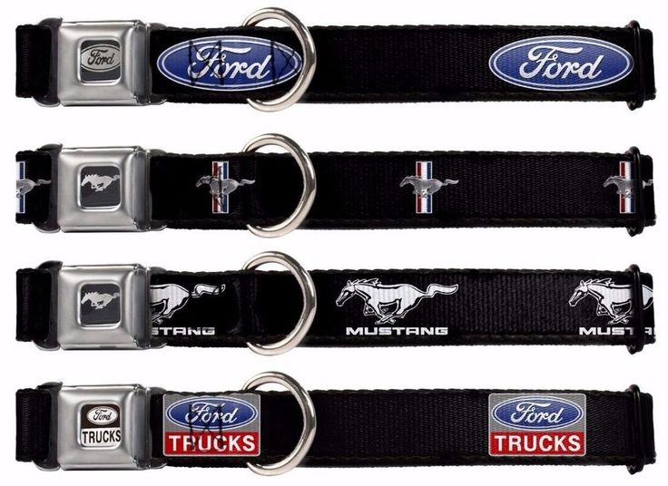 Detail Ford Mustang Dog Collar Nomer 7