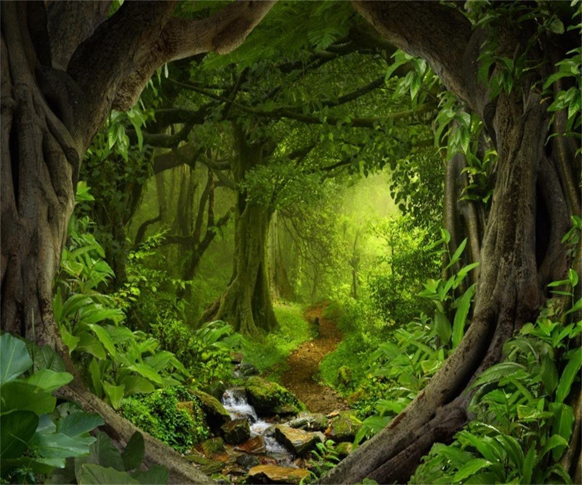 Detail Forest Background Nomer 17
