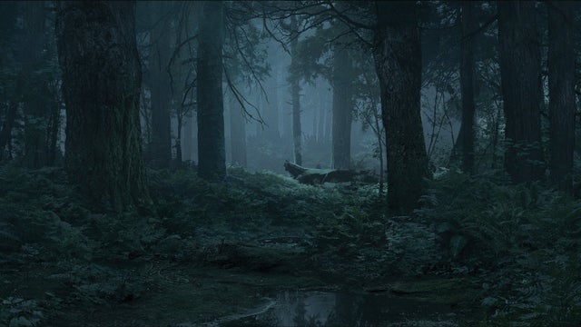 Detail Forest Background Nomer 38
