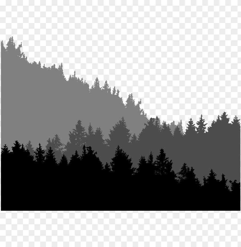 Detail Forest Background Png Nomer 11