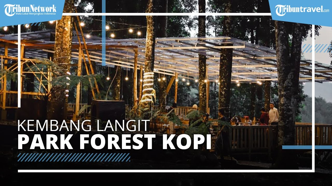 Detail Forest Kopi Kembang Langit Nomer 6