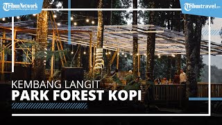 Detail Forest Kopi Kembang Langit Nomer 43