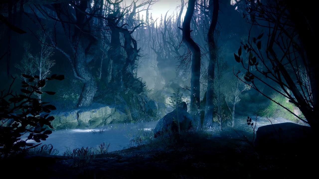 Detail Forest Live Wallpaper Nomer 20