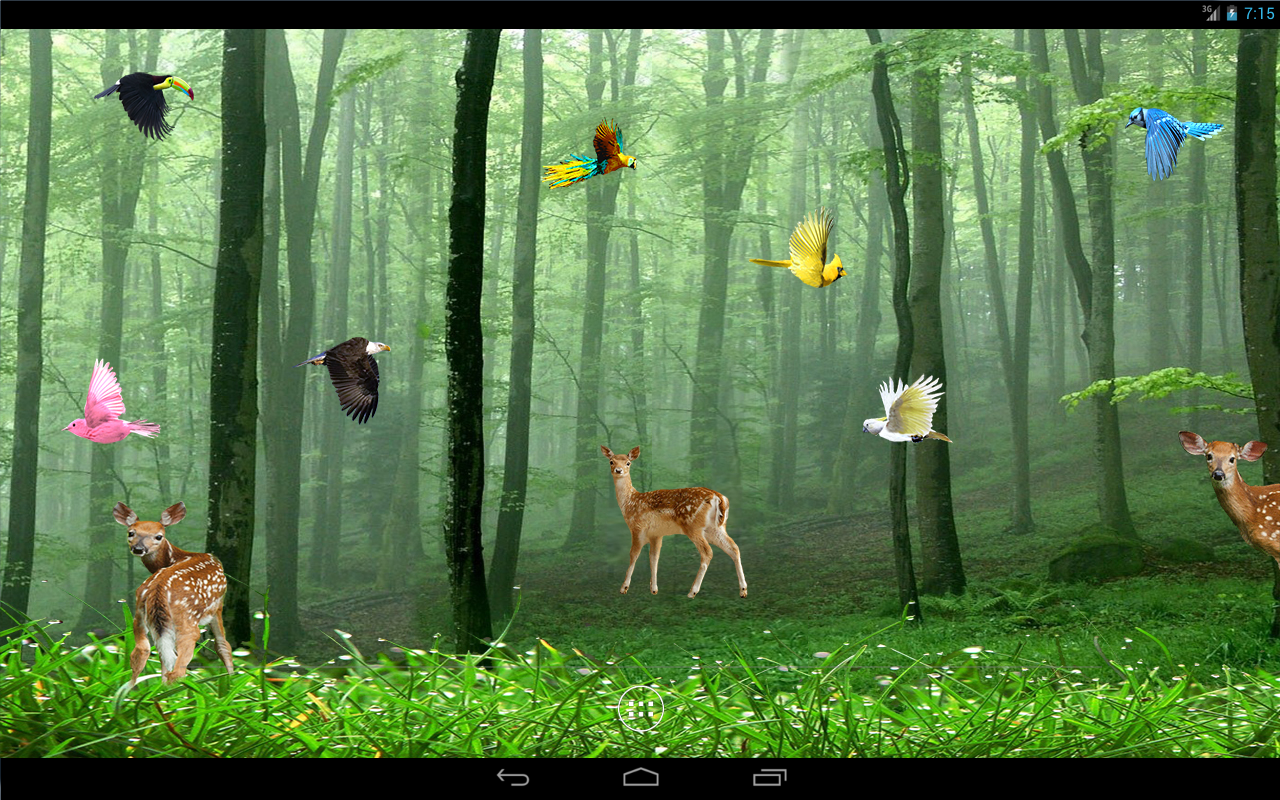 Detail Forest Live Wallpaper Nomer 30