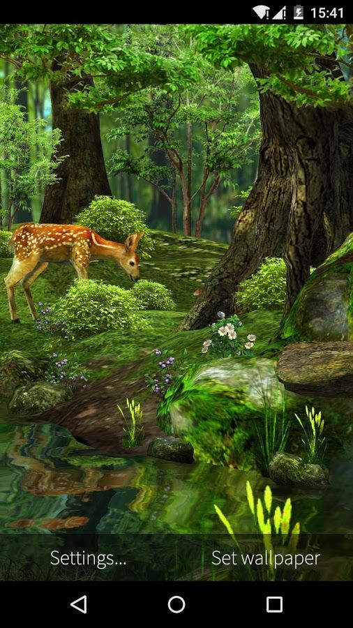 Detail Forest Live Wallpaper Nomer 39