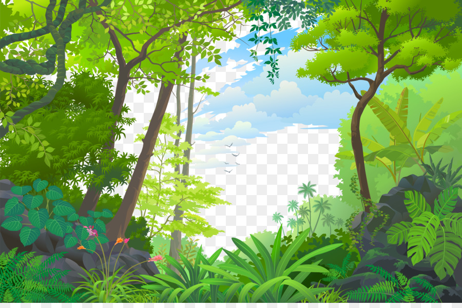 Detail Forest Png Background Nomer 13