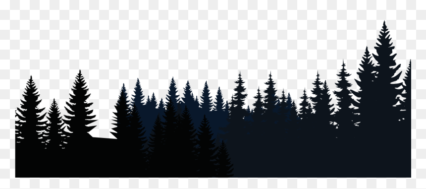 Detail Forest Png Background Nomer 10