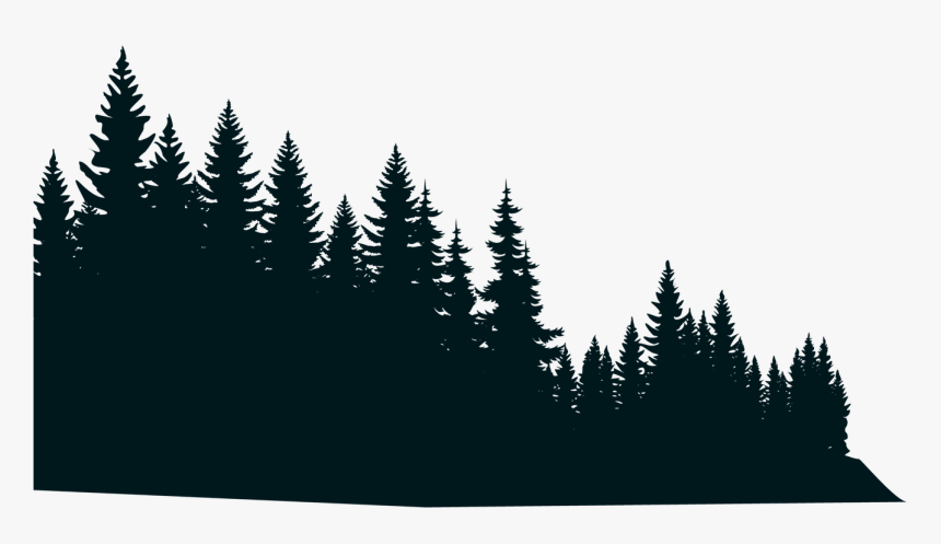 Detail Forest Silhouette Png Nomer 3