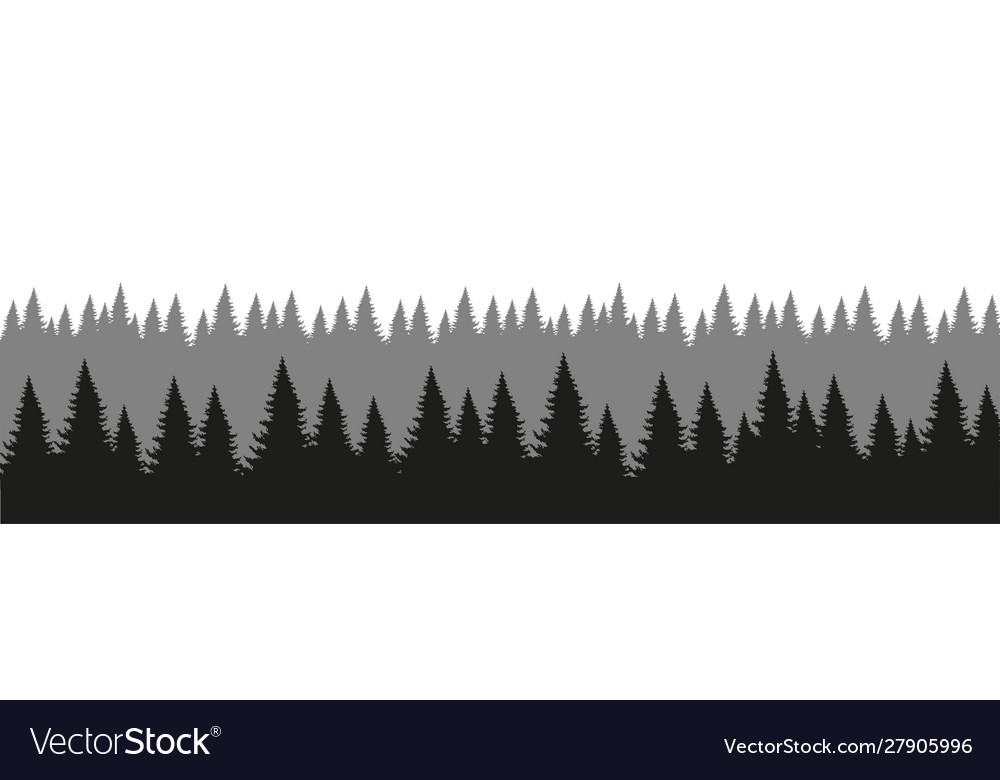 Detail Forest Silhouette Png Nomer 18
