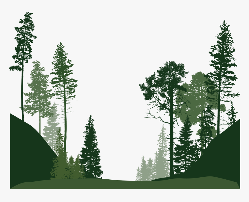 Detail Forest Silhouette Png Nomer 25