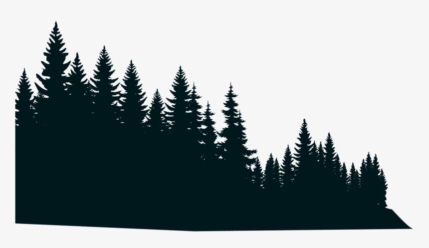 Detail Forest Siluet Nomer 17