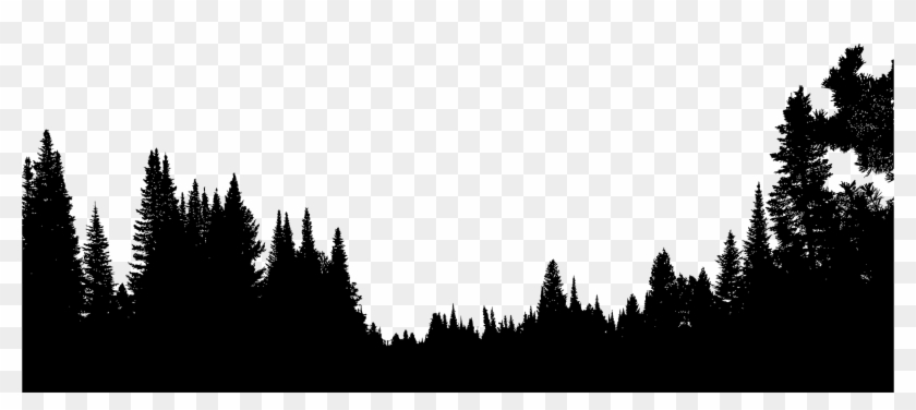 Detail Forest Siluet Nomer 53