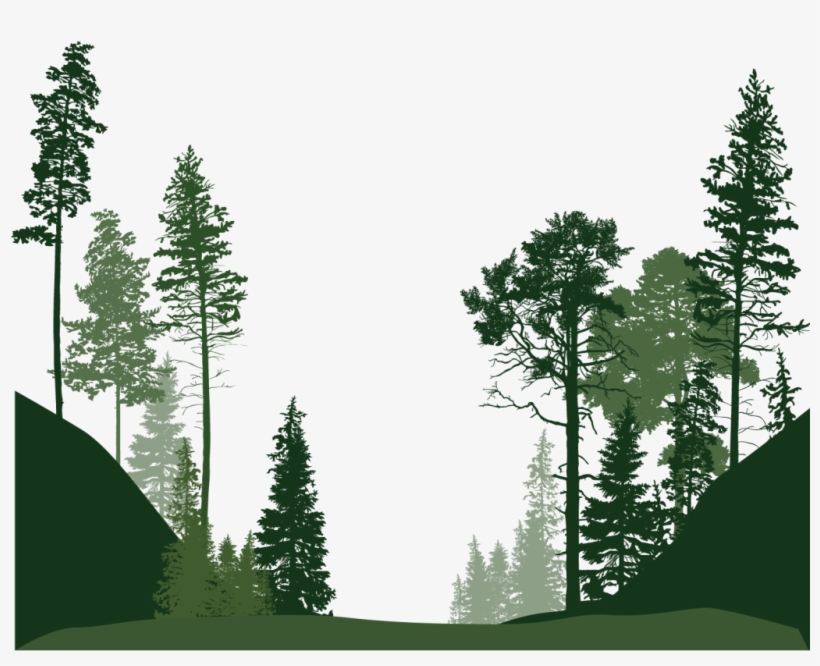 Detail Forest Tree Png Nomer 18