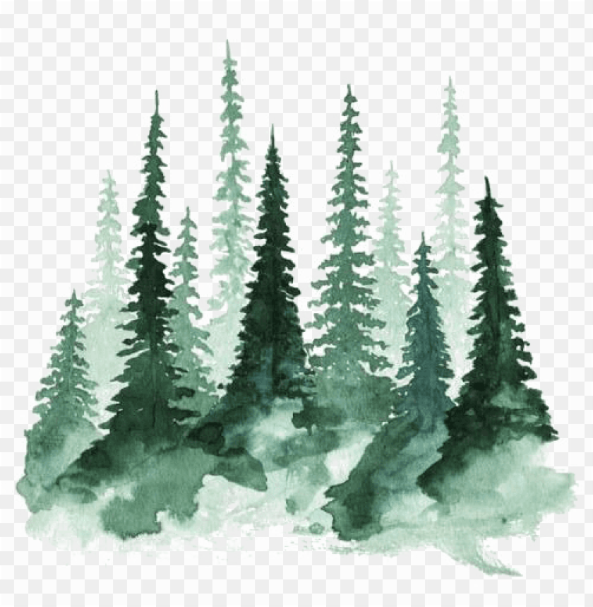 Detail Forest Tree Png Nomer 26