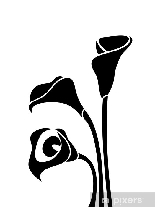 Detail Schwarze Calla Nomer 3