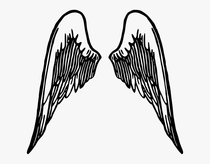 Detail Angel Wings Nomer 17