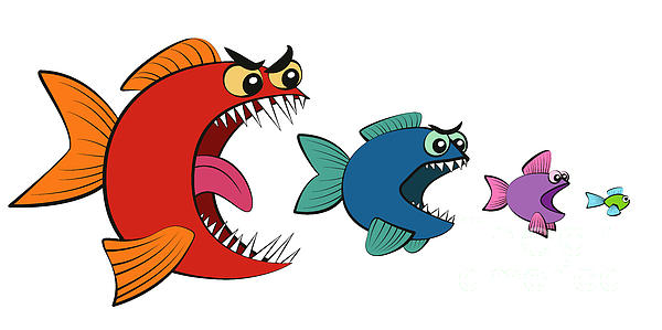 Detail Fish Comic Nomer 24