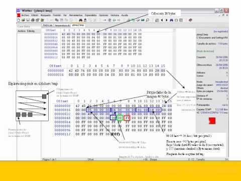 Detail Format File Bitmap Nomer 29