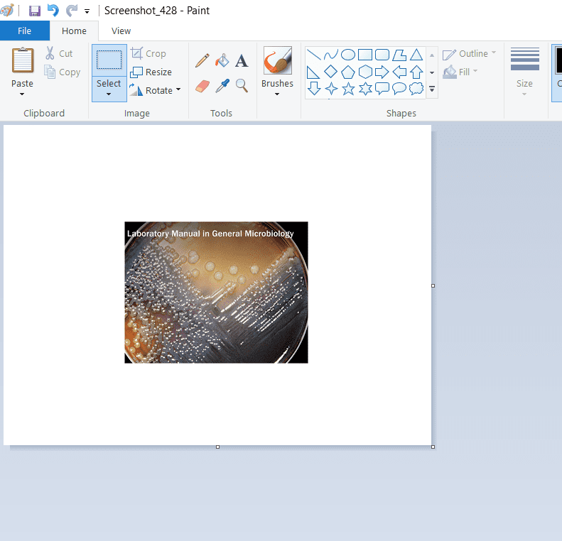 Detail Format Gambar Background Transparan Nomer 40