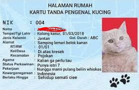 Detail Format Ktp Kosong Word Nomer 45