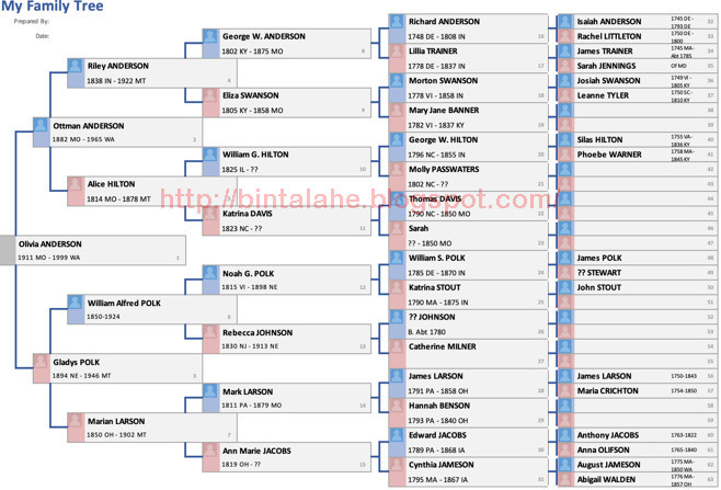 Format Silsilah Keluarga Excel - KibrisPDR