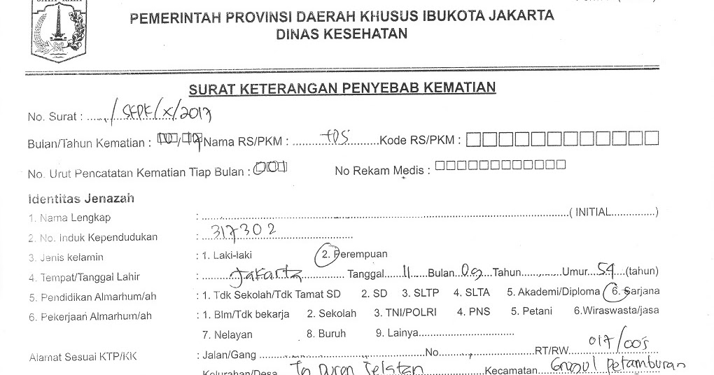 Detail Format Surat Kematian Nomer 41