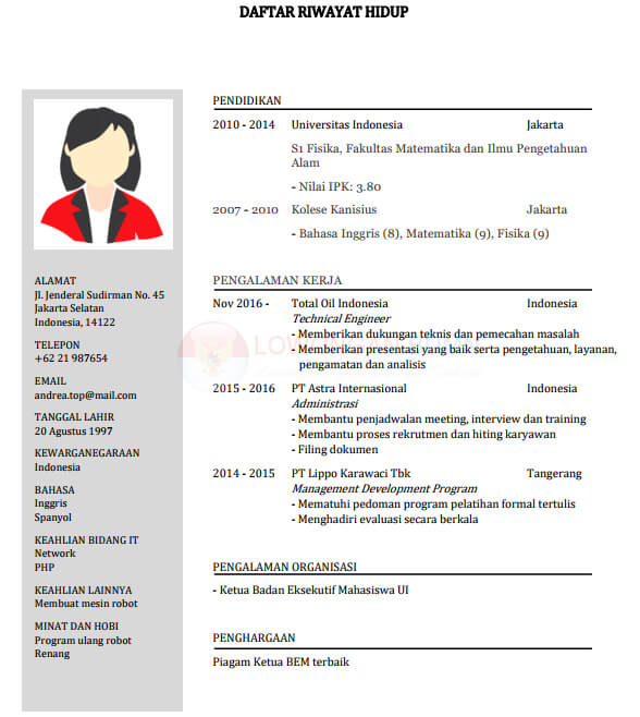 Detail Format Surat Lamaran Kerja Dan Cv Nomer 12