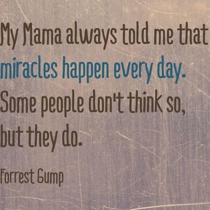 Detail Forrest Gump Book Quotes Nomer 22