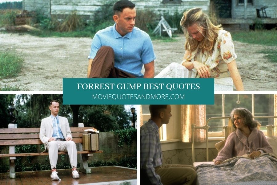 Detail Forrest Gump Book Quotes Nomer 43