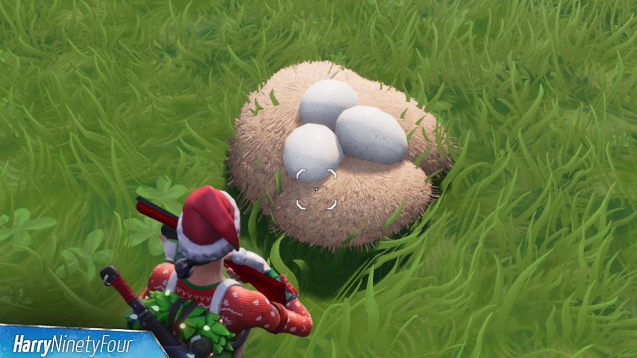 Fortnite Goose Eggs - KibrisPDR