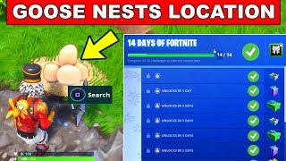 Detail Fortnite Goose Nests Locations Nomer 17