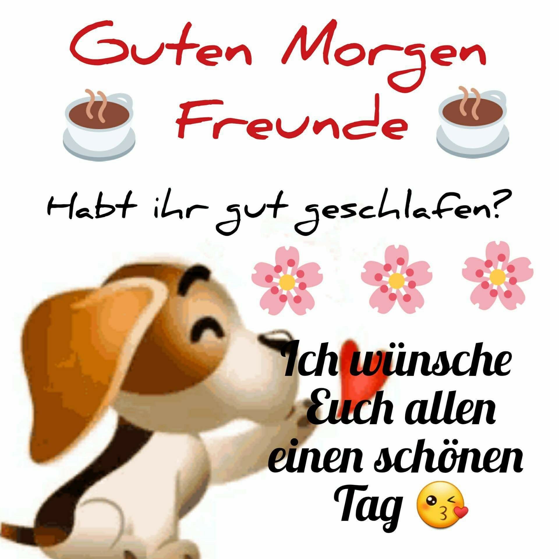 Guten Gut Geschlafen Bilder 24+ Koleksi Gambar