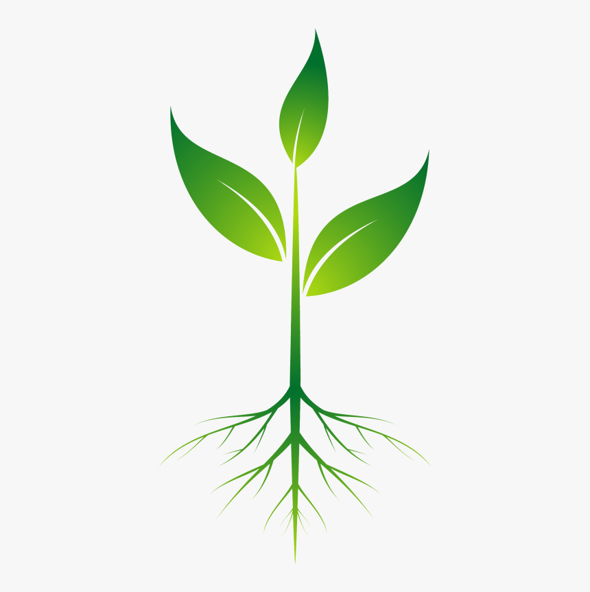Detail Plant Background Nomer 10