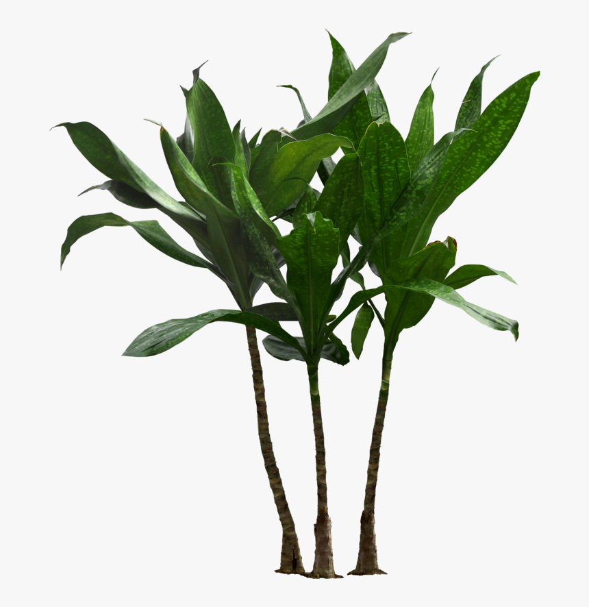 Detail Plant Background Nomer 15