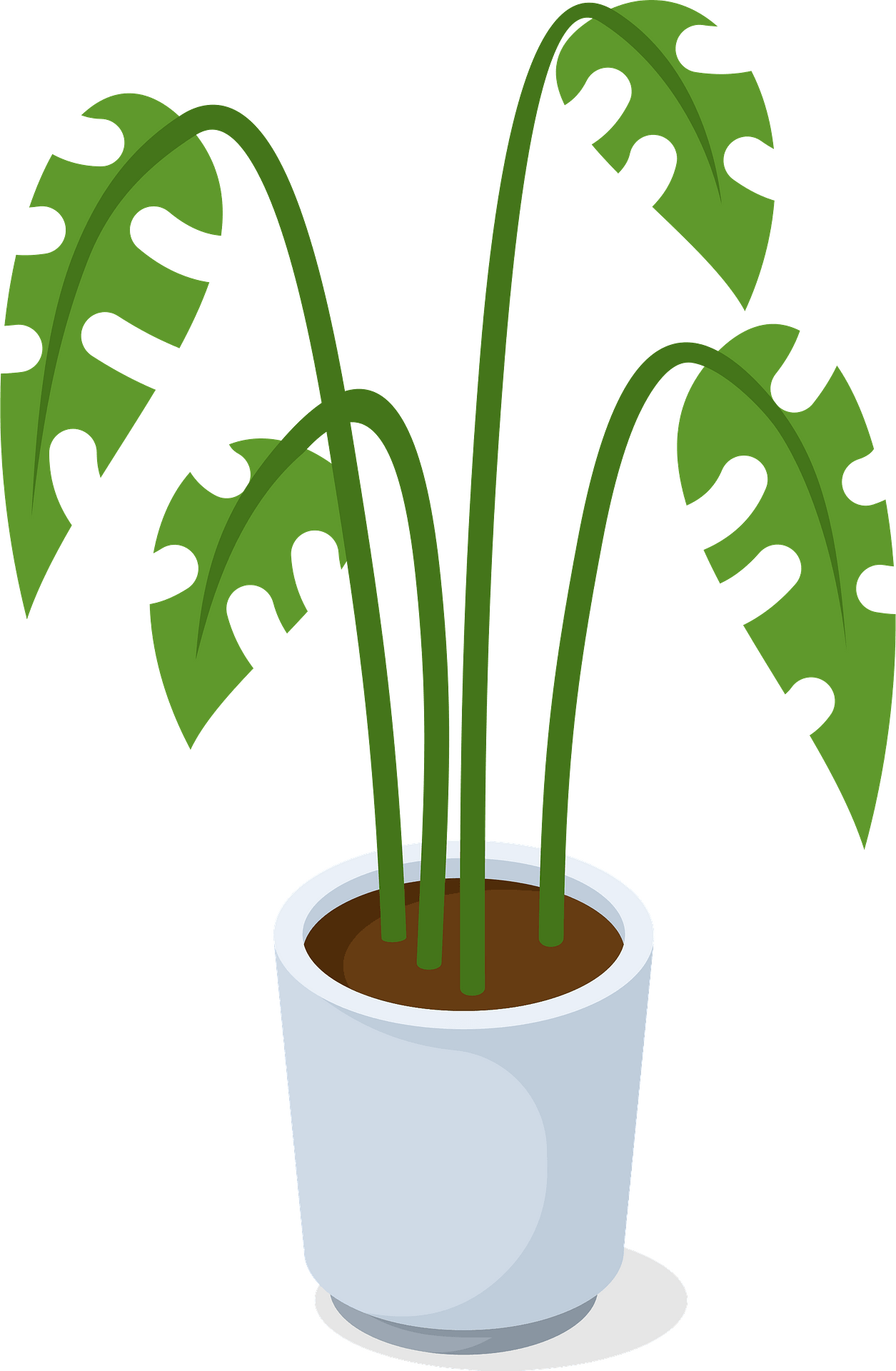 Detail Plant Background Nomer 19