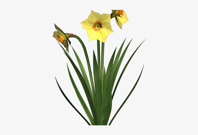 Detail Plant Background Nomer 23