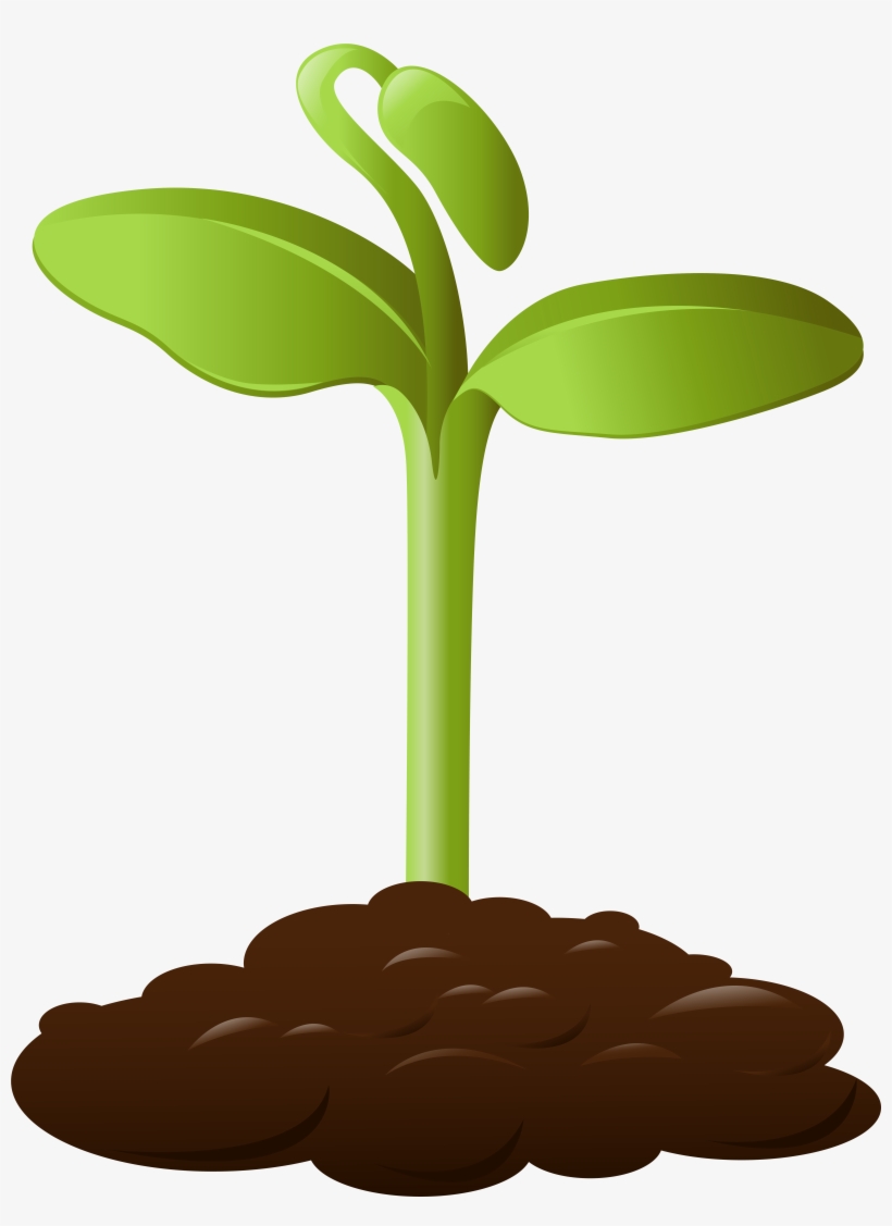 Detail Plant Background Nomer 5
