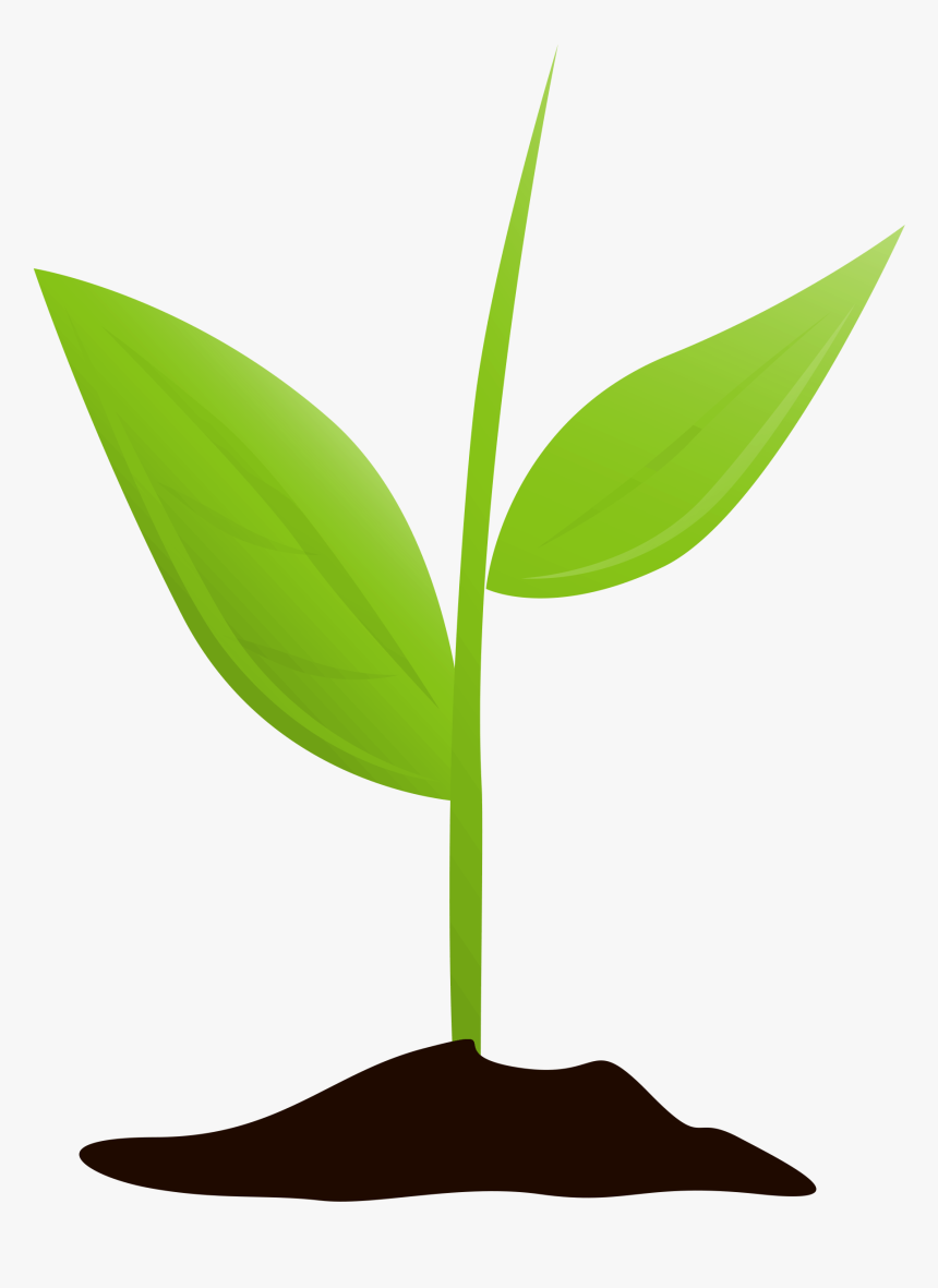 Detail Plant Background Nomer 6