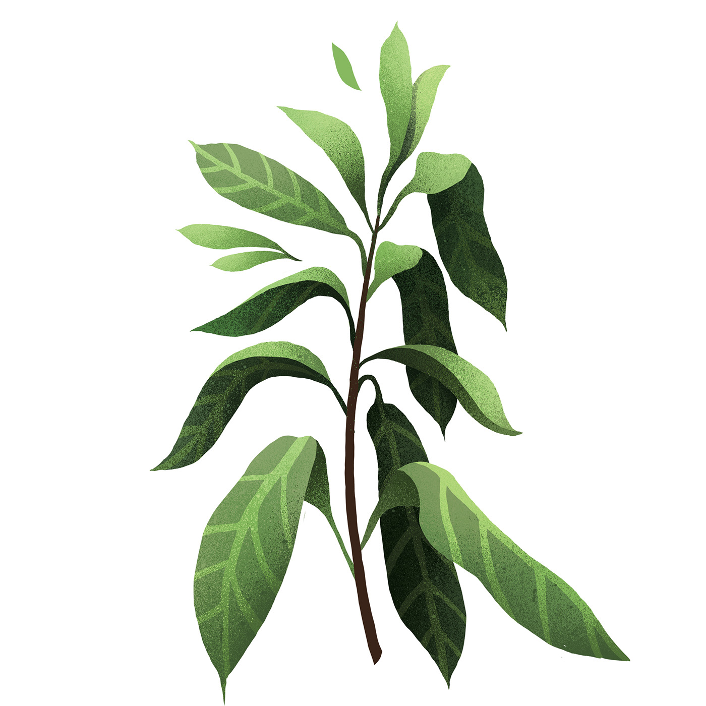 Detail Plant Pattern Design Nomer 20