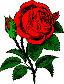 Detail Stilisierte Rose Nomer 5
