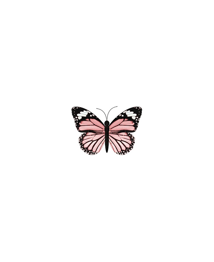 Detail Aesthetic Schmetterling Nomer 6