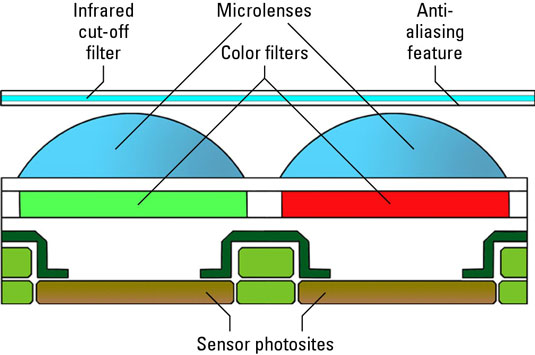 Detail Anti Aliasing Filter Dslr Nomer 9