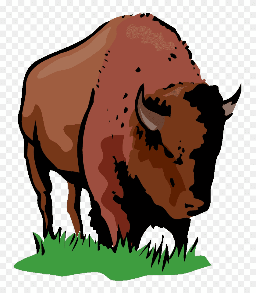 Detail Bison Bilder Nomer 6
